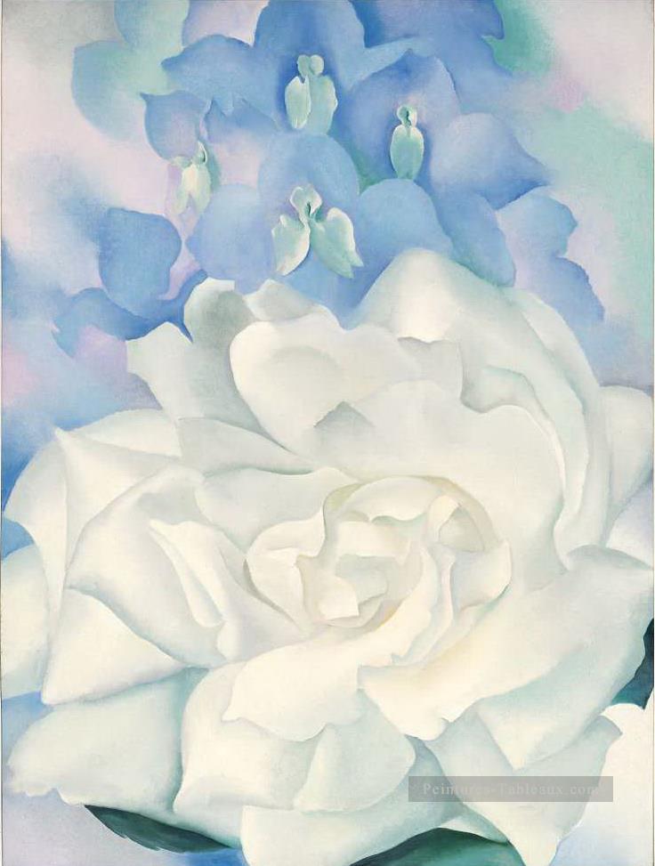Blanc rose avec la décoration florale de Larkspur NO2 Georgia Okeeffe Peintures à l'huile